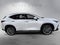 2023 Lexus NX 350 Luxury