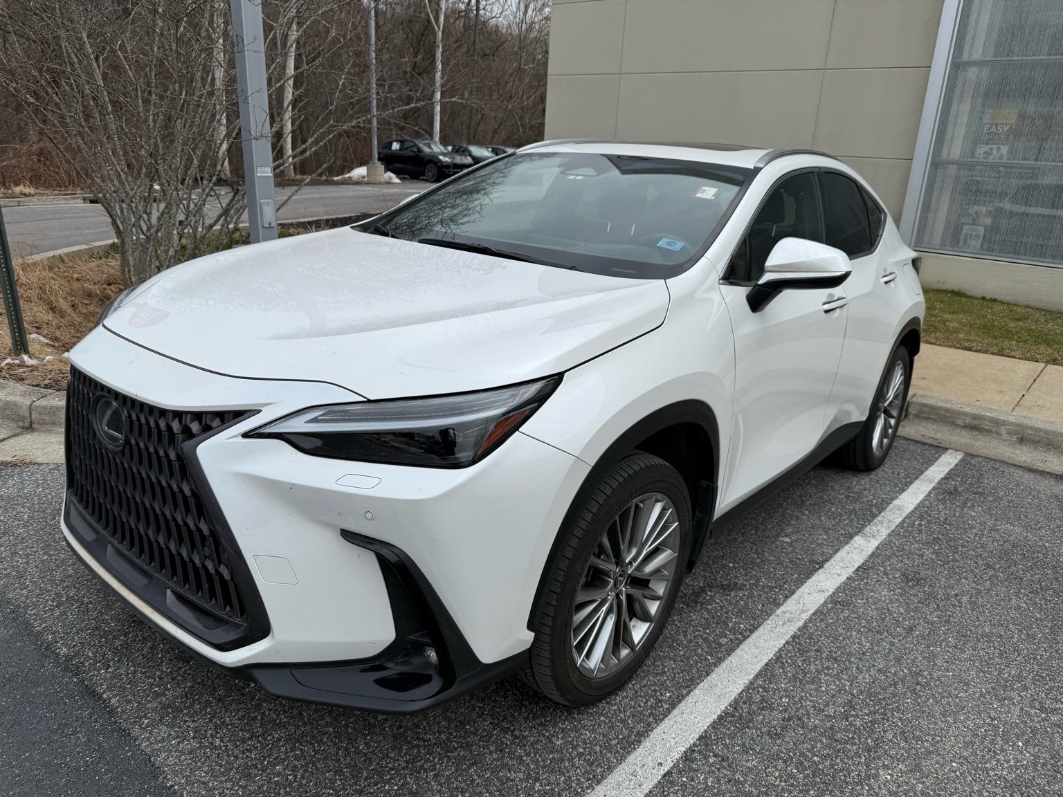 2023 Lexus NX 350 Luxury
