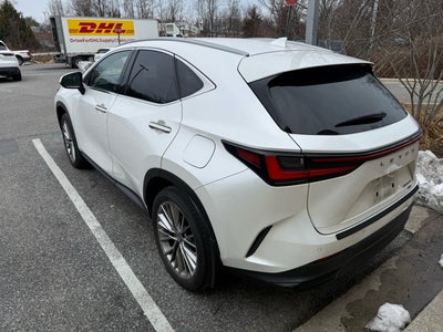 2023 Lexus NX 350 Luxury