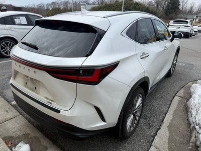 2023 Lexus NX 350 Luxury