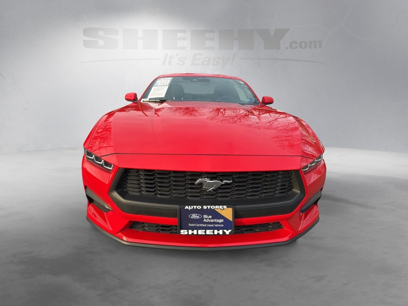 2024 Ford Mustang EcoBoost