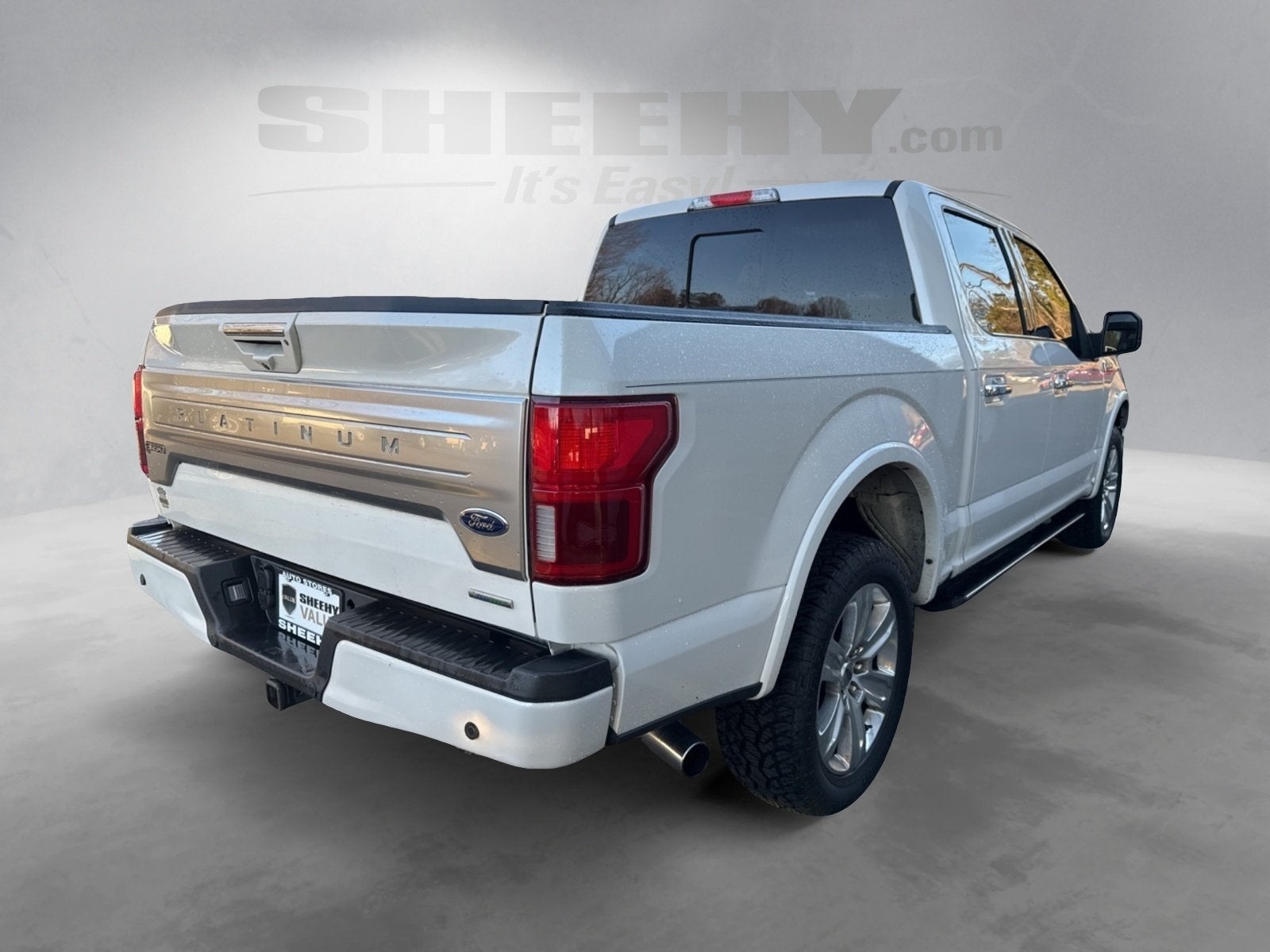 2019 Ford F-150 Platinum