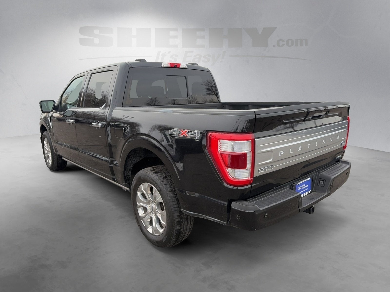 2021 Ford F-150 Platinum