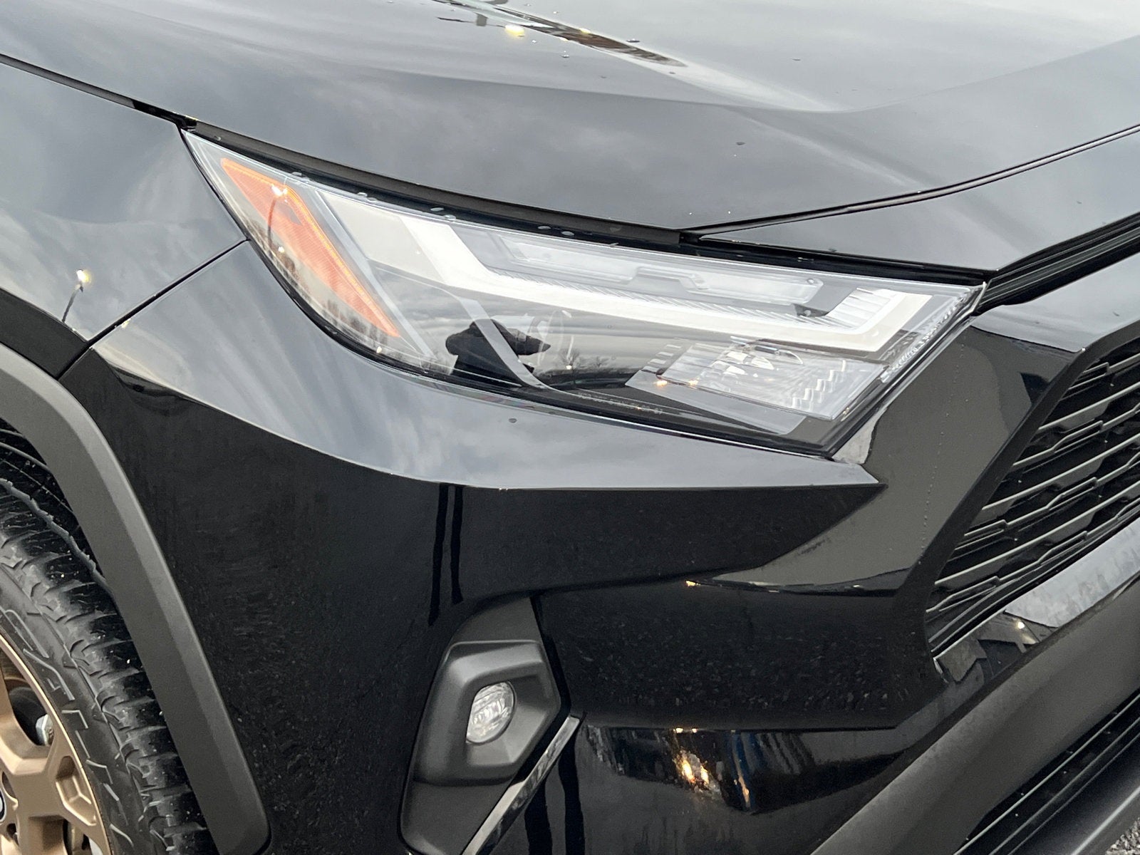 2024 Toyota RAV4 Hybrid Woodland Edition