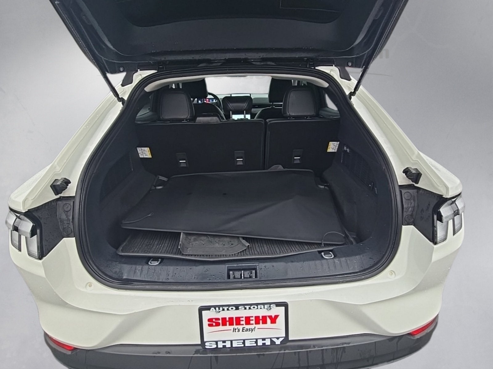 2024 Ford Mustang Mach-E Select