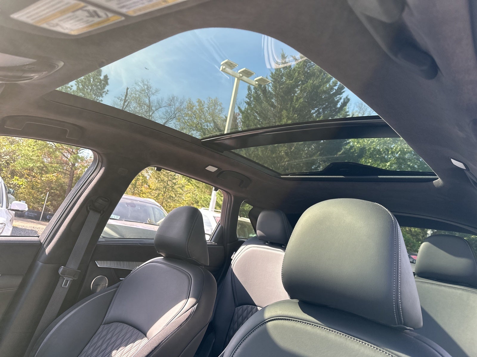 2023 INFINITI QX50 Autograph