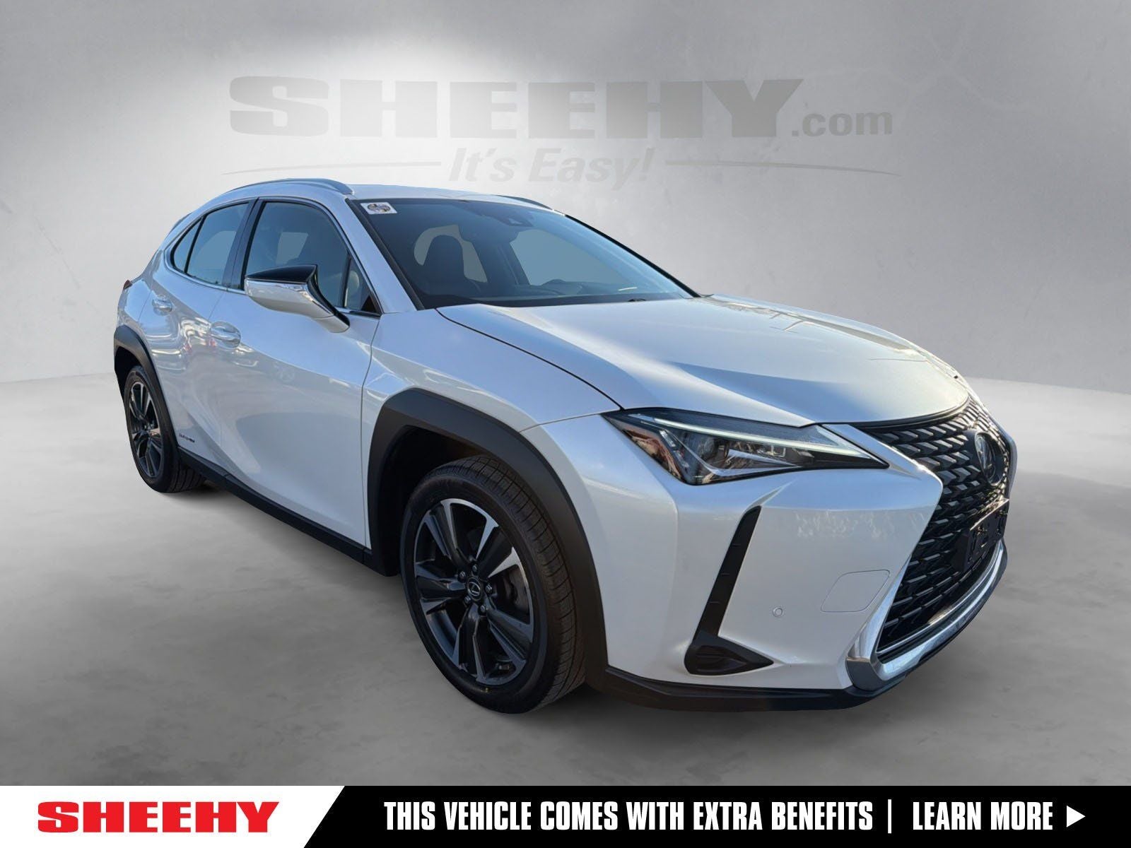 2021 Lexus UX Hybrid